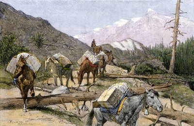 نقل المؤن والفراء على ظهور الخيل في جبال روكي، الولايات المتحدة الأمريكية. من رسم توضيحي لفريدريك ريمنجتون. قطار حزم يحمل المؤن أو الفراء فوق جبال روكي بواسطة فنان غير معروف