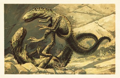 اثنين من قتال Dryptosaurus aquilunguis.1908 (طباعة حجرية) بواسطة فنان غير معروف