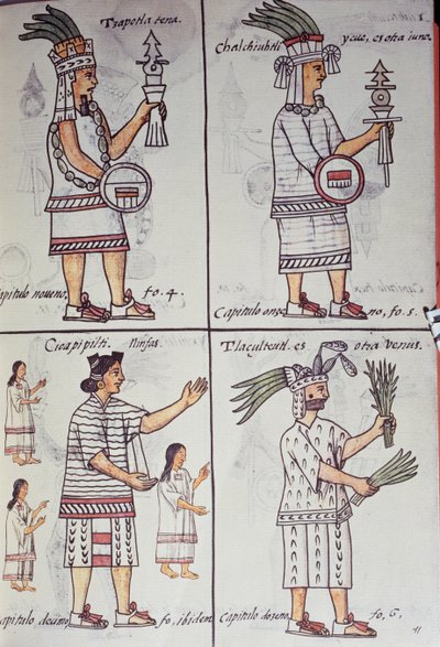 Tzapotlatena ، Chalchiuhtlatonal ، Cioapipitli و Tliltecuhtli ، Florentine Codex ، نسخة ثنائية اللغة باللغتين الإسبانية و Nahuatl ، التاريخ العام لأشياء إسبانيا الجديدة (Historia general de las cosas de Nueva Espana) ، Aztec بواسطة فنان غير معروف