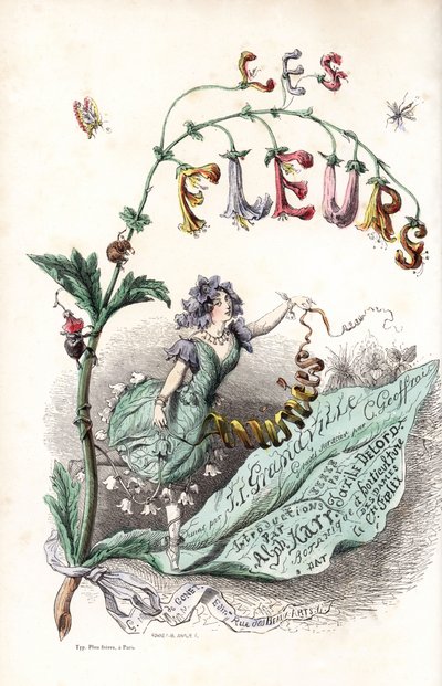 Une fee des fleurs setient sur une feuille et hold un ruban (صفحة العنوان) - نقش بقلم تشارلز جيوفروي (1819-1882)، من رسم إيضاحي لجون إيجناس إيزيدور جيرارد ديت جيه جيه جرانفيل (1803-1847)، لكتاب Les fleurs animees بواسطة فنان غير معروف
