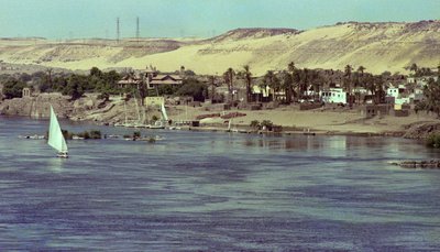 منظر على النيل مع مركب فالوكا إيجيبت ، حوالي عام 1979 (صورة) بواسطة فنان غير معروف