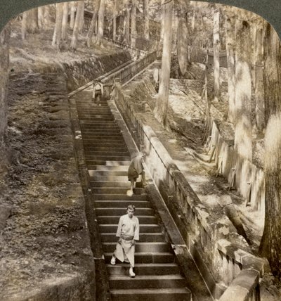 درج حجري قديم فوق التل إلى قبر شوغون إياسو ، نيكو ، اليابان ، 1904. بواسطة أندروود أند أندروود