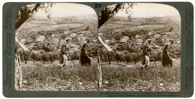 بيت عنيا ، كما يُرى من المنحدر الشرقي لجبل الزيتون ، فلسطين ، 1899. بواسطة أندروود أند أندروود