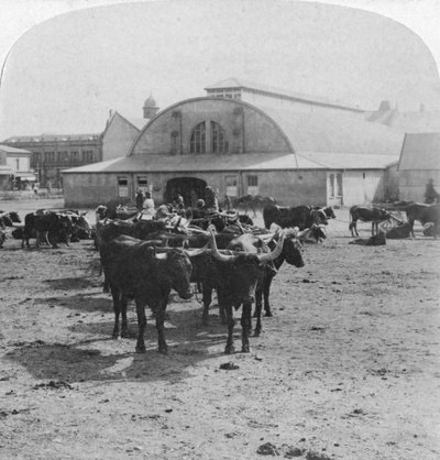 المبنى الذي حوكم فيه أسرى الحرب ، بريتوريا ، جنوب أفريقيا ، حرب البوير ، 1901 بواسطة أندروود أند أندروود