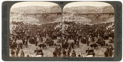 يوم سوق الماشية ، في البركة السفلية لجيهون ، وادي هنوم ، القدس ، فلسطين ، 1900. بواسطة أندروود أند أندروود