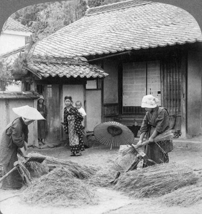 زوجات المزارعين في العمل ، إيواكوني ، اليابان ، 1904. بواسطة أندروود أند أندروود