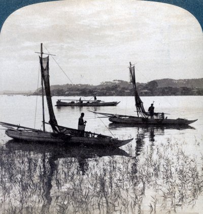 قوارب الصيد تعود إلى المنزل عند غروب الشمس ، بالقرب من يوكوهاما ، اليابان ، 1904. بواسطة أندروود أند أندروود