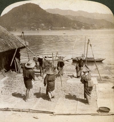 الشعير المتدفق بجوار شاطئ الصيد على البحر الداخلي ، اليابان ، 1904. بواسطة أندروود أند أندروود