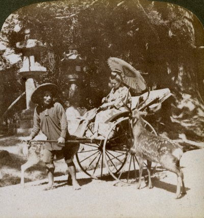 فتاة تتغذى على الغزلان المقدسة في طريقها للصلاة ، أرض معبد كاسوغا ، نارا ، اليابان ، 1904 بواسطة أندروود أند أندروود