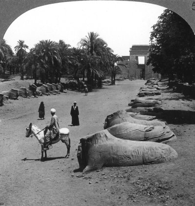 طريق كبير يقترب من معبد الكرنك ، طيبة ، مصر ، 1905. بواسطة أندروود أند أندروود