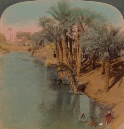 في الفيوم ، أغنى واحة في مصر على نهر يوسف يوسف ، إلى النيل ، 1902. الفنانون: إلمر أندروود ، بيرت إلياس أندروود. بواسطة أندروود أند أندروود