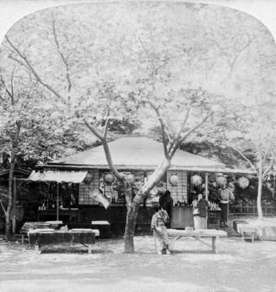 في قلب مملكة الزهور ، نارا ، اليابان ، 1896. بواسطة أندروود أند أندروود