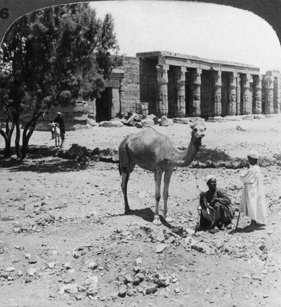 النظر شمالاً إلى معبد سيثوس الأول ، طيبة ، مصر ، 1905. بواسطة أندروود أند أندروود