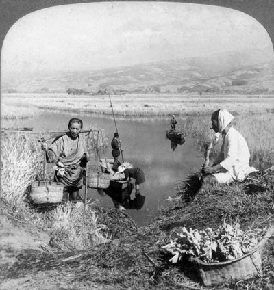 رجال يتجمعون في الاندفاع بالقرب من سوزوكاوا ، فوجياما ، اليابان ، 1904. بواسطة أندروود أند أندروود