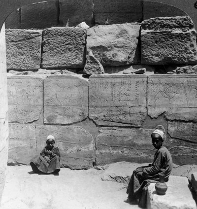 نباتات وحيوانات جلبها الفراعنة من سوريا ، معبد الكرنك ، مصر ، 1905. بواسطة أندروود أند أندروود