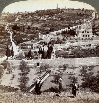 حديقة الجسمانية وجبل الزيتون ، فلسطين ، 1908. بواسطة أندروود أند أندروود