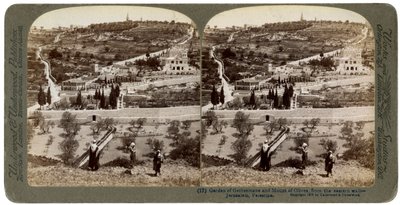 حديقة الجسمانية وجبل الزيتون ، فلسطين ، 1908. بواسطة أندروود أند أندروود