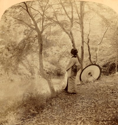 أيام الخريف الذهبية في اليابان ، 1896. بواسطة أندروود أند أندروود