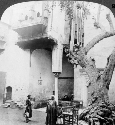 النوافذ الحريمية في بلاط منزل ثري من القاهرة ، مصر ، 1905. بواسطة أندروود أند أندروود