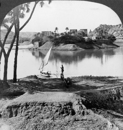 جزيرة فيلة ، مصر ، 1905. بواسطة أندروود أند أندروود