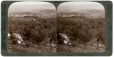 سهل دوثان ، فلسطين ، 1900. بواسطة أندروود أند أندروود