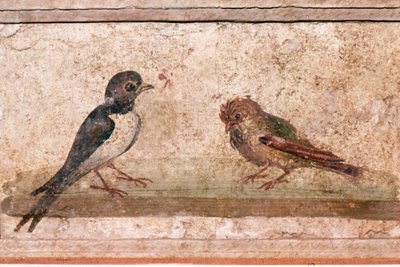 Swallow and Sparrow ، لوحة جدارية رومانية من Boscoreale بالقرب من بومبي ، القرن الأول بواسطة غير معروف