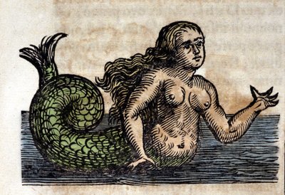 شخص سيريني ، أسطوري - نقش من عمل لأثناسيوس كيرشر (1601-1680) ، يسوعي ، مستشرق وعالم ألماني بواسطة فنان غير معروف