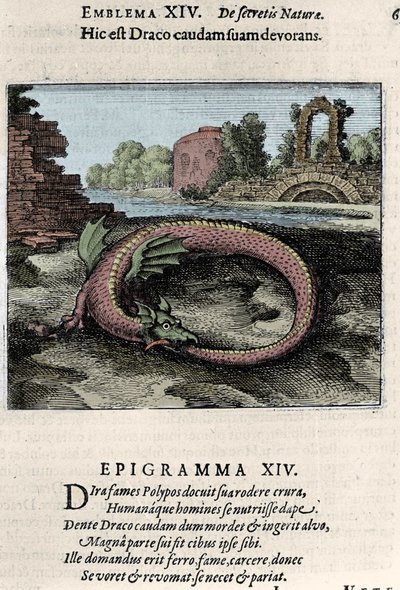 ضرب تنين ذيله (أو Ouroburo (؟)). لوحة مأخوذة من رحلة Alchemy "، رحلة Palermo التي ترمز كيميائيًا لأسرار الطبيعة الجديدة" ، بقلم ميشيل ماير (1568-1622) بواسطة فنان غير معروف