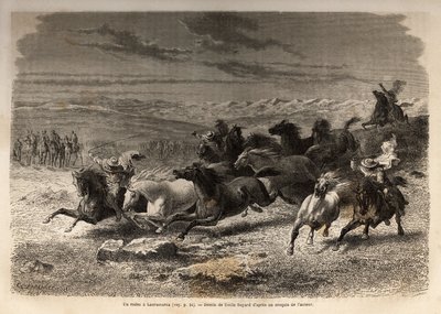 تجمع العديد من البادود ، وهو روديو في Lauramarca (بيرو السفلى) ، أسر الخيول البرية ، قبل وضع العلامات الحديدية بالأحرف الأولى لمالك المنطقة ، على أنها مشهد كامل. نقش لتوضيح الرحلة في وديان كوينكوين بواسطة فنان غير معروف