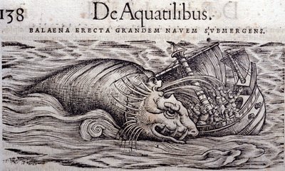 يدمر الحوت بدن القارب ويسبب غرقه. نقش التاريخ الحيواني للكونراد جيسنر (1516-1565) ، تيغوري بواسطة فنان غير معروف
