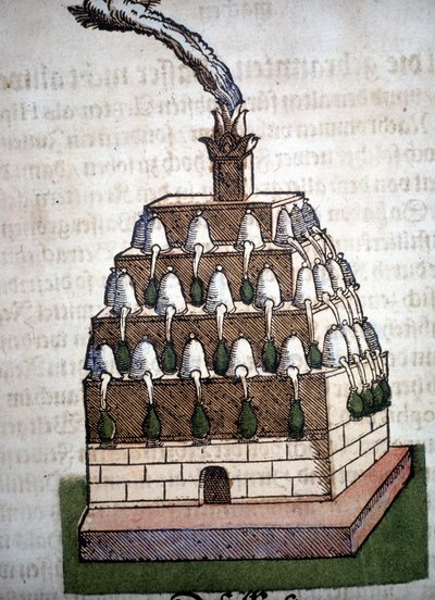 Alchemy: The Athanor Four من كتاب لبييترو أندريا ماتيولي (ماتيولي) (1500-1577). فرانكفورت بواسطة فنان غير معروف