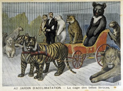 في حديقة التأقلم: قفص الوحوش الشرسة - في "Le Petite Journal" بتاريخ 02/06/1895 بواسطة فنان غير معروف