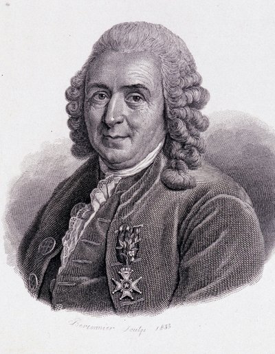 كارل فون ليني عالم الطبيعة والكاتب السويدي (1707 - 1778) - في "صورة الرجال النافعين" " بواسطة فنان غير معروف