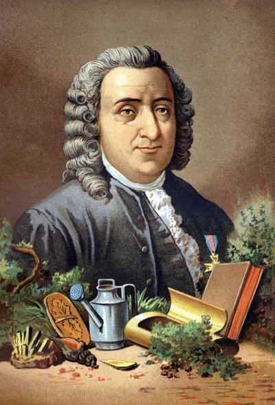 كارل فون ليني عالم الطبيعة والكاتب السويدي (1707 - 1778) بعد "العلم ورجاله" للويس فيغير. برشلونة 1881 بواسطة فنان غير معروف