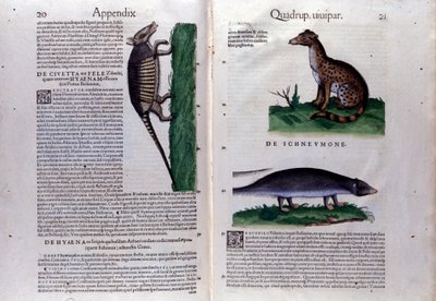 صفحة مزدوجة من تاريخ الحيوانات بقلم كونراد جيسنر (1516-1565) ، زيورخ بواسطة فنان غير معروف