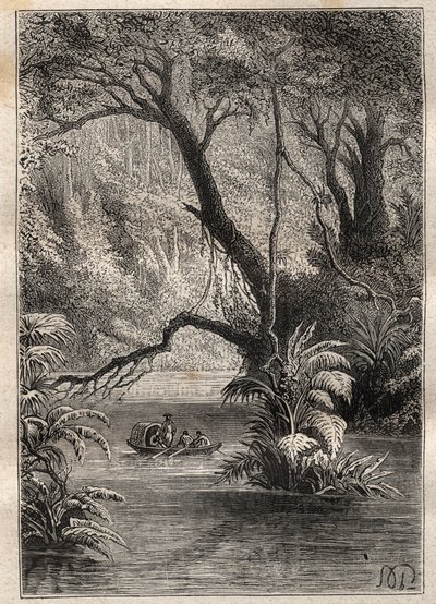رحلة استكشافية إلى أمريكا (1799-1804) بقلم ألكسندر فون هومبولت (1769-1859) وأيمي بونبلاند (1773-1858): ينزل المستكشفون إلى نهر أورينوك ، وتحيط بهم الأشجار العملاقة في غابات الأمازون (كانو بيميشين ، فنزويلا) - تم التقاط الرسم التوضيحي من "العظيم بواسطة فنان غير معروف