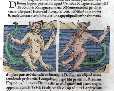 مخلوقات رائعة: سموت وصفارة انذار فى النيل. نقش "Le Livre des wonders" (Chronicle portents and portents Milano) بقلم وولفارت (كونراد ليكوستينس) 1557 بواسطة فنان غير معروف