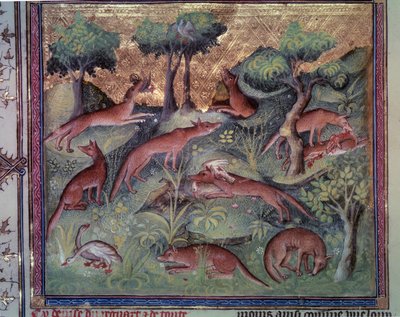 دواجن صيد الثعلب. صورة مصغرة من مخطوطة "Le livre de la chasse" (الورقة 34v) بقلم غاستون فويبوس (1331-1391) المعروفة باسم Gaston III Comte De Foix بواسطة فنان غير معروف