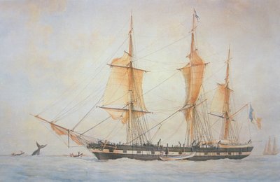 سفينة صيد الحيتان الفرنسية ، حوالي عام 1845 (ليثو ملون) بواسطة فنان غير معروف