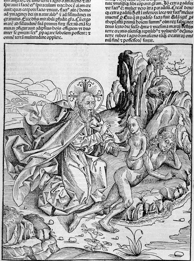 ولد الله حواء من فخذ آدم - في "" Nuremberg Chronicles "" بواسطة فنان غير معروف