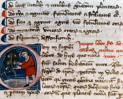 البستنة: جني الثمار. التفاصيل. صفحة المخطوطة (MS.s.vi) "معاملة زراعية" (Trattato di agraria) بقلم Pietro de Crescenzi (حجر الهلال أو Crescens Stone) (1233-1320) القرن الرابع عشر Cesena، Biblioteca Malatestiana بواسطة فنان غير معروف