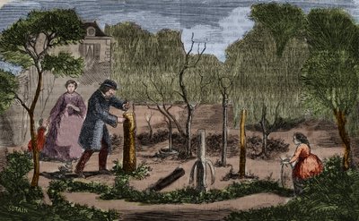 البستنة: الطرق الرئيسية لزراعة النباتات. نقش 1860. بواسطة فنان غير معروف