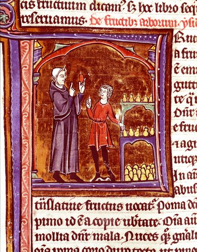 كيفية تخزين الكمثرى المنمنمات من مخطوطة "Speculum historyiale" (لو ميرور التاريخية) بقلم فنسنت دي بوفيه (1184 / 94-1264) القرن الثالث عشر لاون ، مكتبة البلدية بواسطة فنان غير معروف