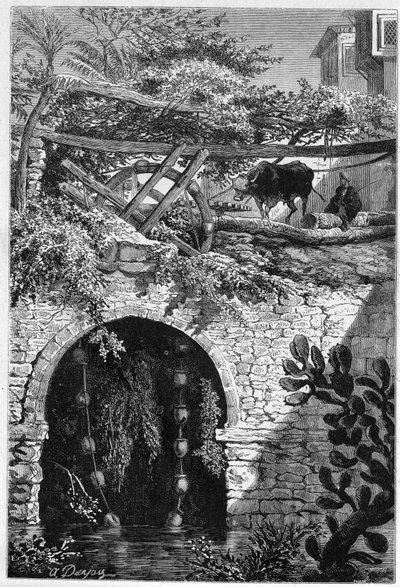 الري في مصر: ثور يدور عجلة حولها دلاء ملفوفة. نقش في "" Le Monde Illustré "" رقم 1313 بتاريخ 27 مايو 1882. بواسطة فنان غير معروف