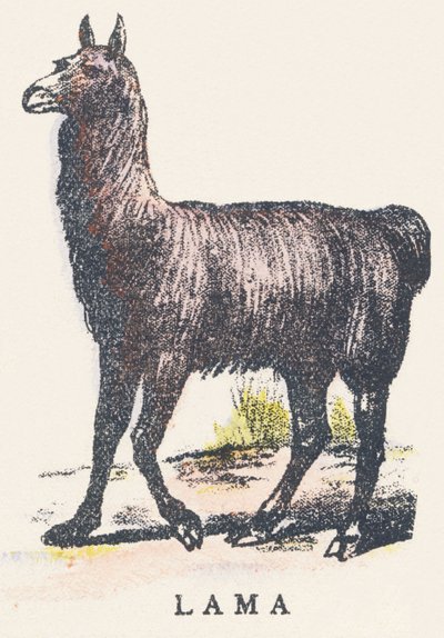L: lama بواسطة فنان غير معروف
