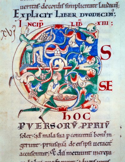 ليترين سي ؛ كرمة أوائل القرن الثاني عشر. مصغرة من العصور الوسطى. مخطوطة "Moralia in Job" من Citeaux Abbey لجريجوار البابا الأول بواسطة فنان غير معروف