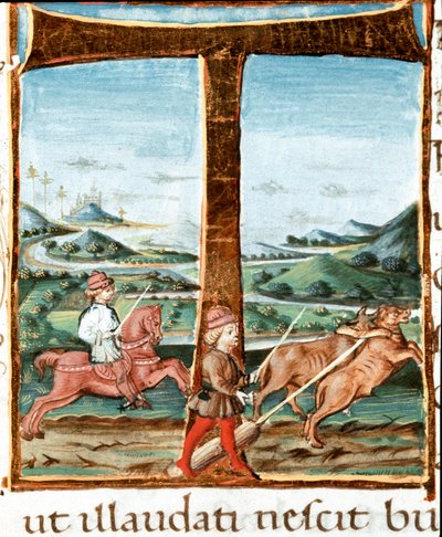 Lettrine T decoree لراكب ومدرب للثيران - صورة مصغرة مأخوذة من "The bucoliques" (Eglogues) بواسطة فيرجيل (Publius Vergilius Maro) (70-19 قبل الميلاد) (السيدة IV E.12). القرن الخامس عشر في نابولي ، المكتبة الوطنية بواسطة فنان غير معروف
