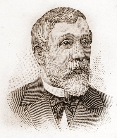 أعضاء الأكاديمية الفرنسية في عام 1895: صورة ألفريد ميزيريس (1826-1915) ، مؤرخ الأدب والسياسي والكاتب الفرنسي. بواسطة فنان غير معروف