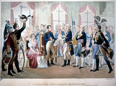 أعلن نابليون إمبراطورًا في عام 1804. بواسطة فنان غير معروف