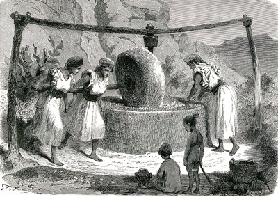 مطحنة الزيتون في الجزائر 1885 بواسطة فنان غير معروف